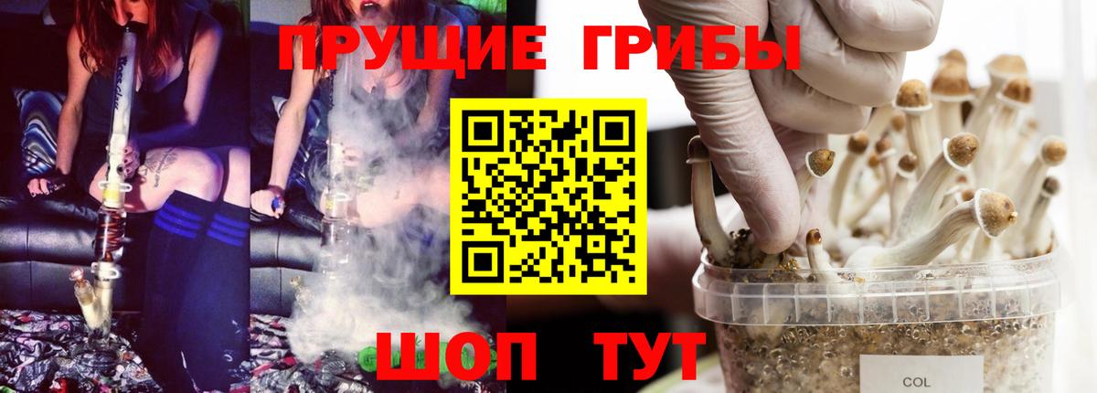 Псилоцибиновые грибы мицелий Обь